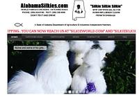 Alabama Silkies - alabama-silkies_1636908691.jpg