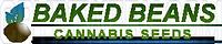 Baked Beans Cannabis Seeds - bakedbeanscannabisseeds_1564711715.jpg