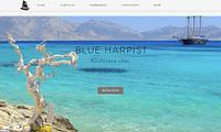 Blue Harpist Villas - blue-harpist-villas_1677784551.jpg