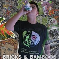 Bricks & Bamboos - bricks-bamboos_1631541257.jpg