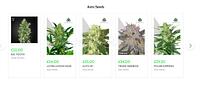 Cannabis Seed Token Store - cannabis-seed-token_1604396477.jpg