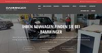 Car dealership Bamminger - car-dealership-bamminger_1602669428.jpg