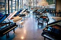 Carlingford Music Centre - 