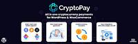 CryptoPay by BeycanPress LLC - 