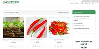 CryptoPeppers - cryptopeppers_1641899651.jpg