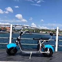 Curaçao Green Wheels - 
