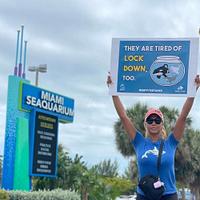 Dolphin Project - dolphin-project_1628788559.jpg