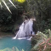 FIWI Jamaica Experience Tours - fiwi-jamaica-experience-tours_1613921571.jpg