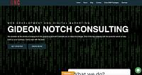 Gideon Notch consulting - gideon-notch-consulting_1669386778.jpg