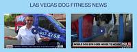 RUN DAWG Mobile Dog Gym - run-dawg-mobile-dog-gym_1636124515.jpg