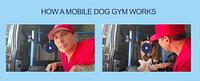 RUN DAWG Mobile Dog Gym - run-dawg-mobile-dog-gym_1636124514.jpg
