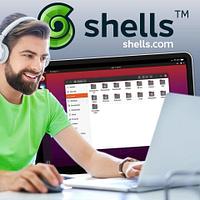 Shells - shells_1628787106.jpg