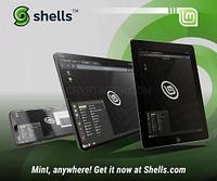 Shells - shells_1628787112.jpg