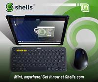 Shells - shells_1628787108.jpg