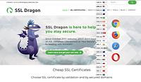 SSL Dragon - ssldragon_1606473422.jpg