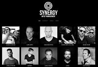 Synergy Artists - 
