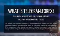Telegram Forex - telegram-forex_1633949562.jpg