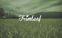 Trimleaf - trimleaf_1611048854.jpg