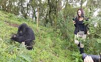 Virunga National Park - virunga-national-park_1628788575.jpg