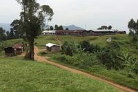 Virunga National Park - virunga-national-park_1628788578.jpg