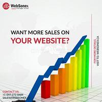 WebSonex - Digital Marketing Agency - websonex---digital-marketing-agency_1639643324.jpg