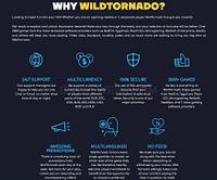 WildTornado Casino - wildtornado-casino_1550499548.jpg