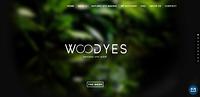 Woodyes - woodyes_1551345297.jpg