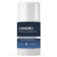 CANDRO MUSCLE CBD BALM - candro-muscle-cbd-balm_1674200861.jpg