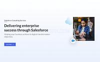 Salesforce Consultant and Development Services - salesforce-consultant-and-development-services_1637692287.jpg