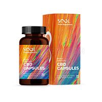 SOOL CBD GEL CAPSULES 450MG, 30PCS, THC FREE - sool-cbd-gel-capsules-450mg-30pcs-thc-free_1674200803.jpg