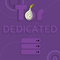 Tor Hosting - Dedicated Tor Hosting II - tor-hosting---dedicated-tor-hosting-ii_1622471646.jpg