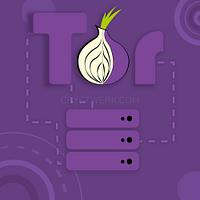 Tor Hosting - Tor Shared Professional - tor-hosting---tor-shared-professional_1622471269.jpg
