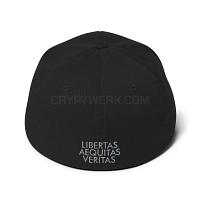 We Are All Satoshi – 3D Puff – Flexfit Structured Cap - we-are-all-satoshi-3d-puff-flexfit-structured-cap_1615221225.jpg