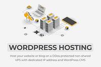 WordPress Hosting - Crypto accepted - wordpress-hosting---crypto-accepted_1666260774.jpg