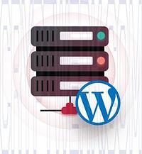 Wordpress Hosting - 